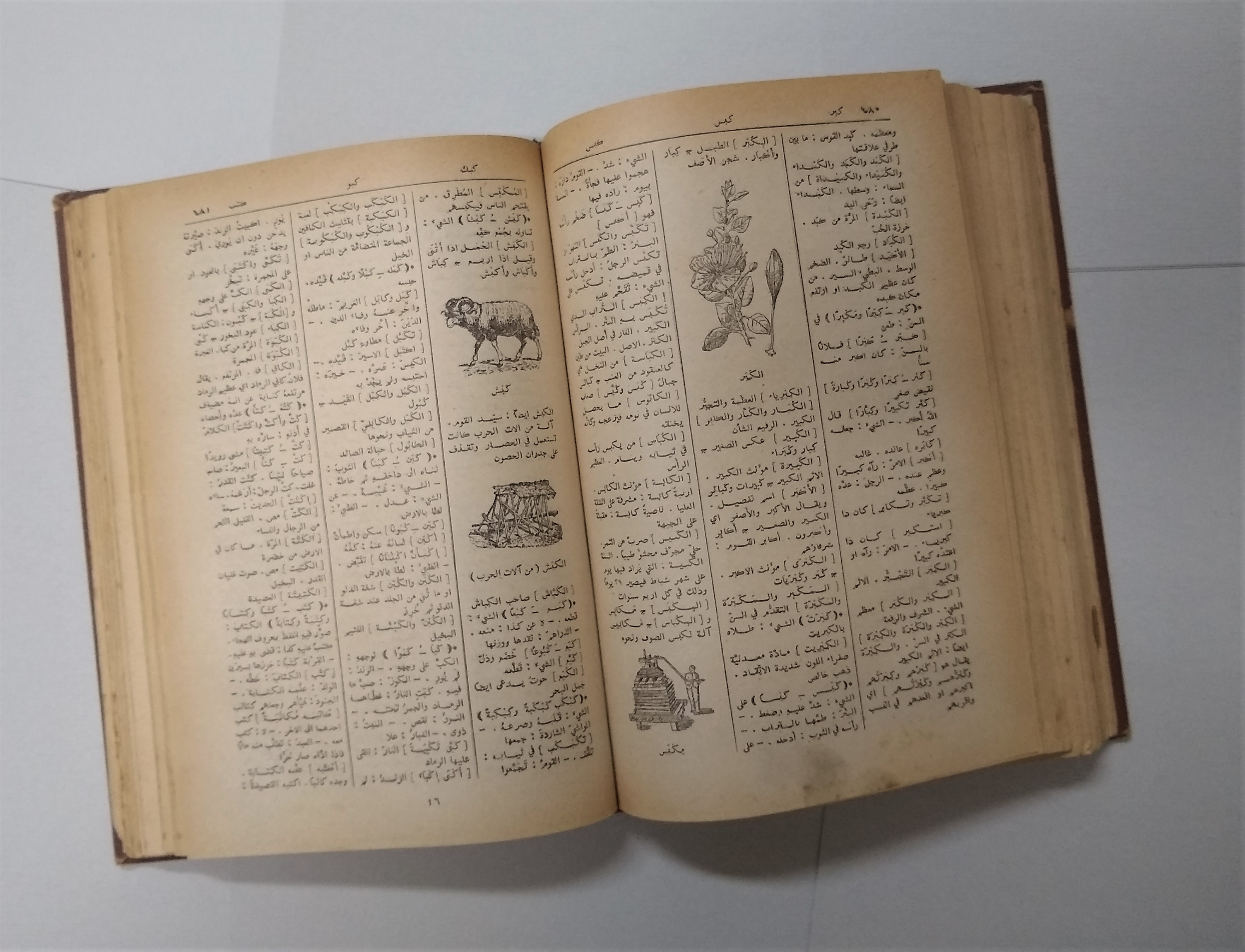 File Arabic Dictionary 1923 Jpg Wikimedia Commons