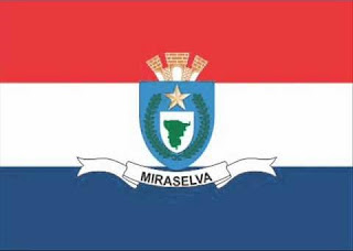 File:Bandeira Miraselva.jpg