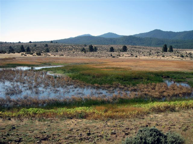 File:Bass Hill-Lassen Cr-Hulsman Ranch-024-LR (18932764022).jpg