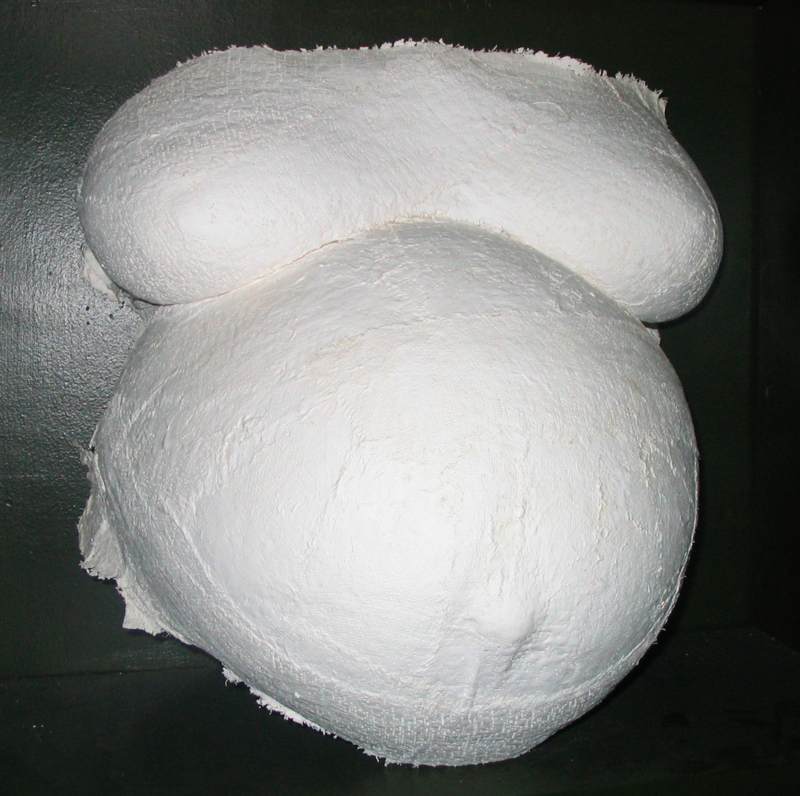 Belly cast - Wikipedia