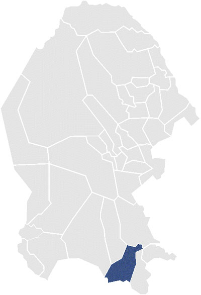 District Coah-VII COA 7 Distrito.jpg