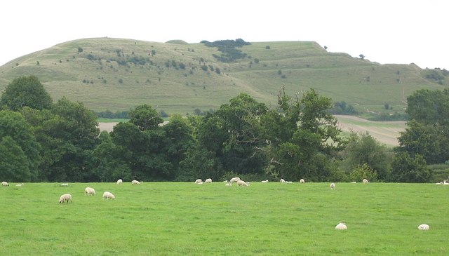 Cley Hill - geograph.org.uk - 951832