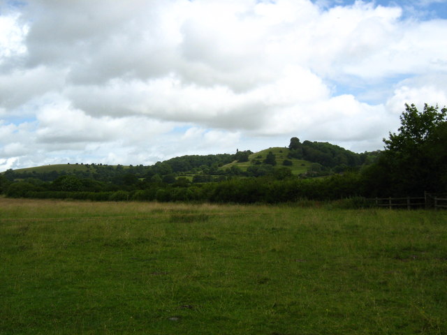 File:Edge of Hawkesbury Common - geograph.org.uk - 1398878.jpg