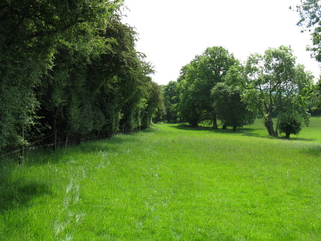 Following the track - geograph.org.uk - 830593