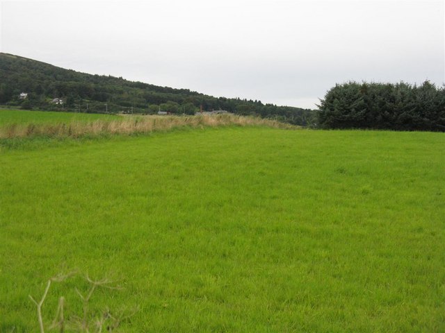 File:Green, green grass at Damhead - geograph.org.uk - 967801.jpg