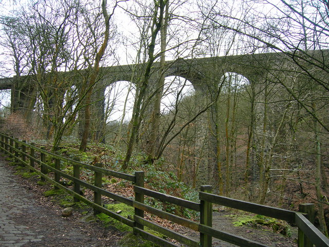 Healey Dell Viaduct - geograph.org.uk - 369689
