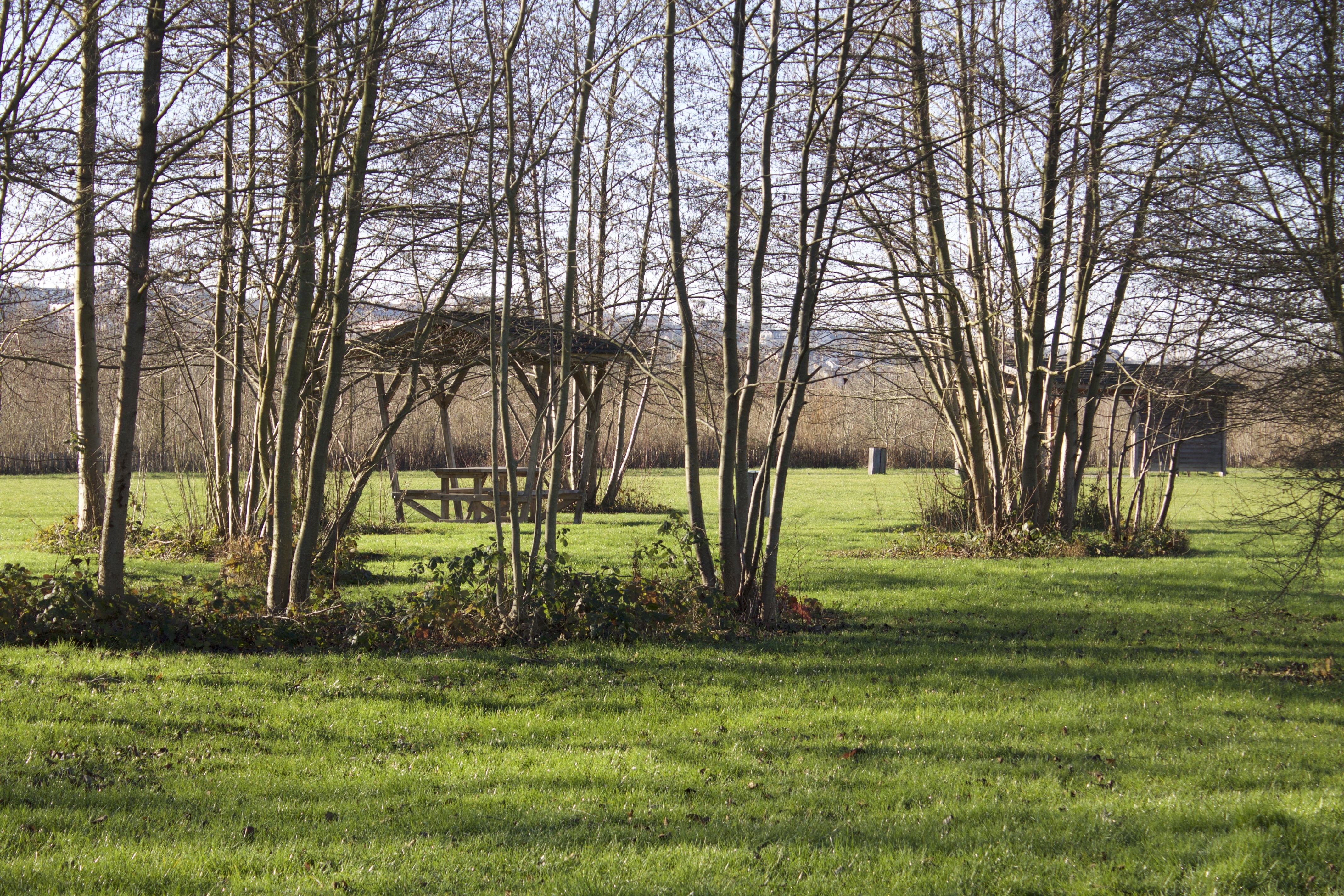 Parc départemental de la Haute-Ile  France Île-de-France Seine-Saint-Denis Neuilly-sur-Marne 93330