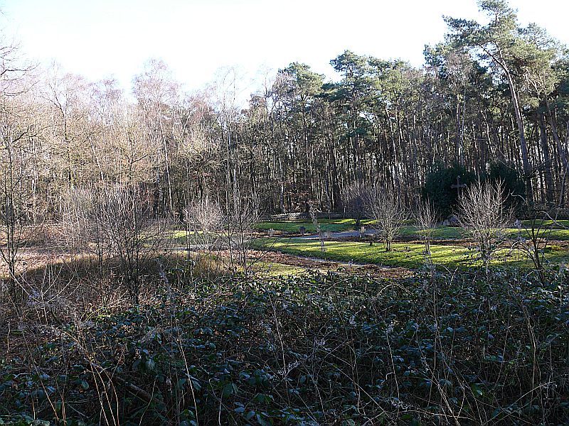 File:Lette Heidefriedhof.jpg