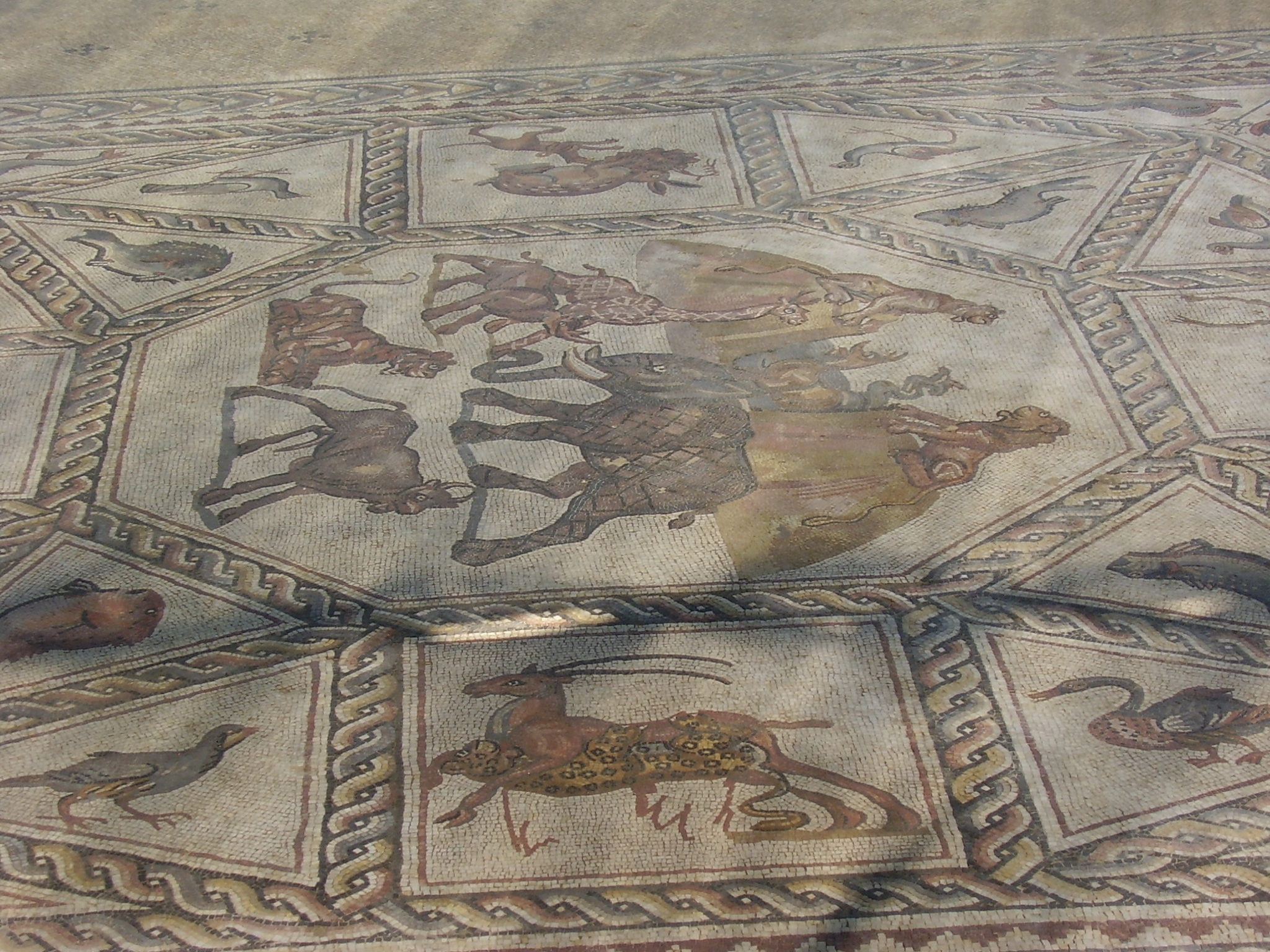 https://upload.wikimedia.org/wikipedia/commons/1/1f/Lod_Mosaic_%281%29.jpg