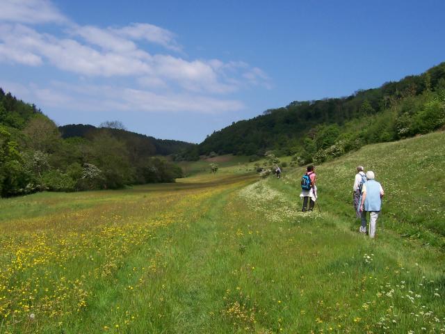 File:Low Dales and Carr Lands - geograph.org.uk - 456832.jpg