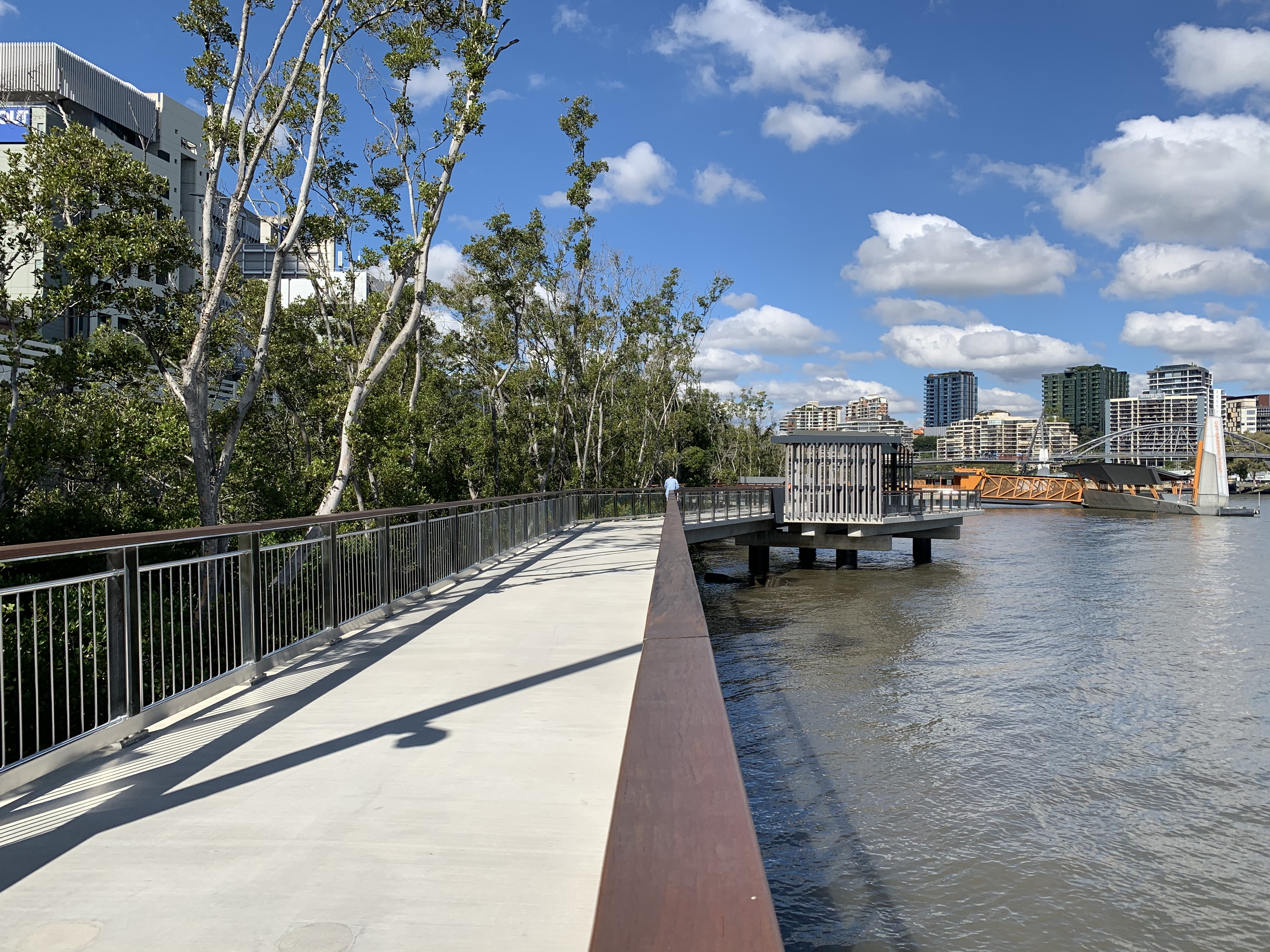 Garden point. Gardens point Brisbane. Mangrove walk.