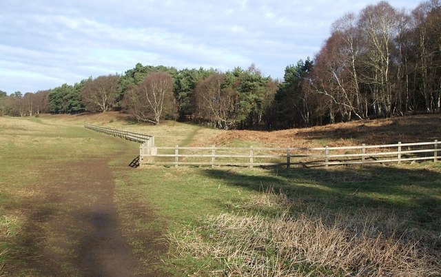 Near King's Wood, looking north - geograph.org.uk - 326102