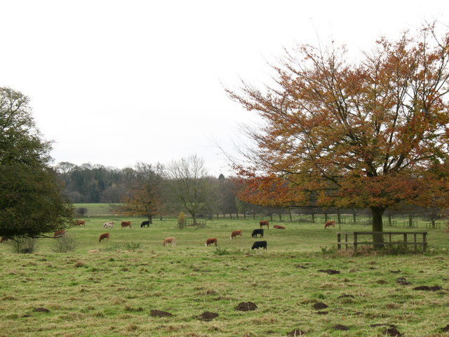 File:Newton Hall Park - geograph.org.uk - 618036.jpg