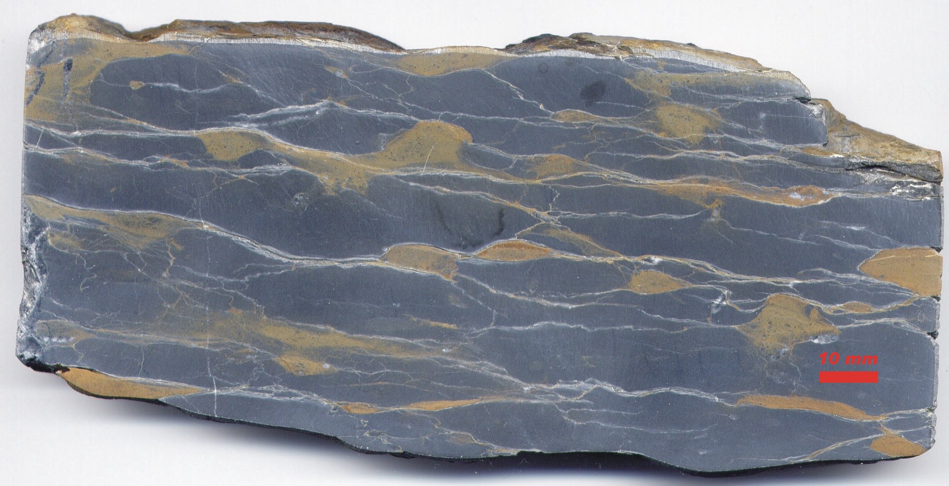 Бирюза известняк скала. Carbonate Rocks. Mudstone Rock. Mudstone (limestone).