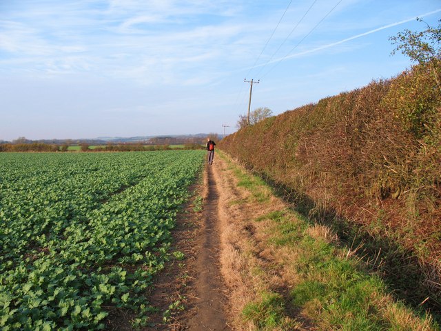 On the Wolds Way near Market Weighton - geograph.org.uk - 1568004
