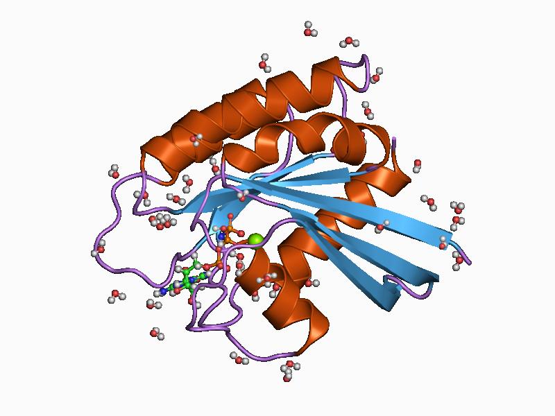 File:PDB 1agp EBI.jpg