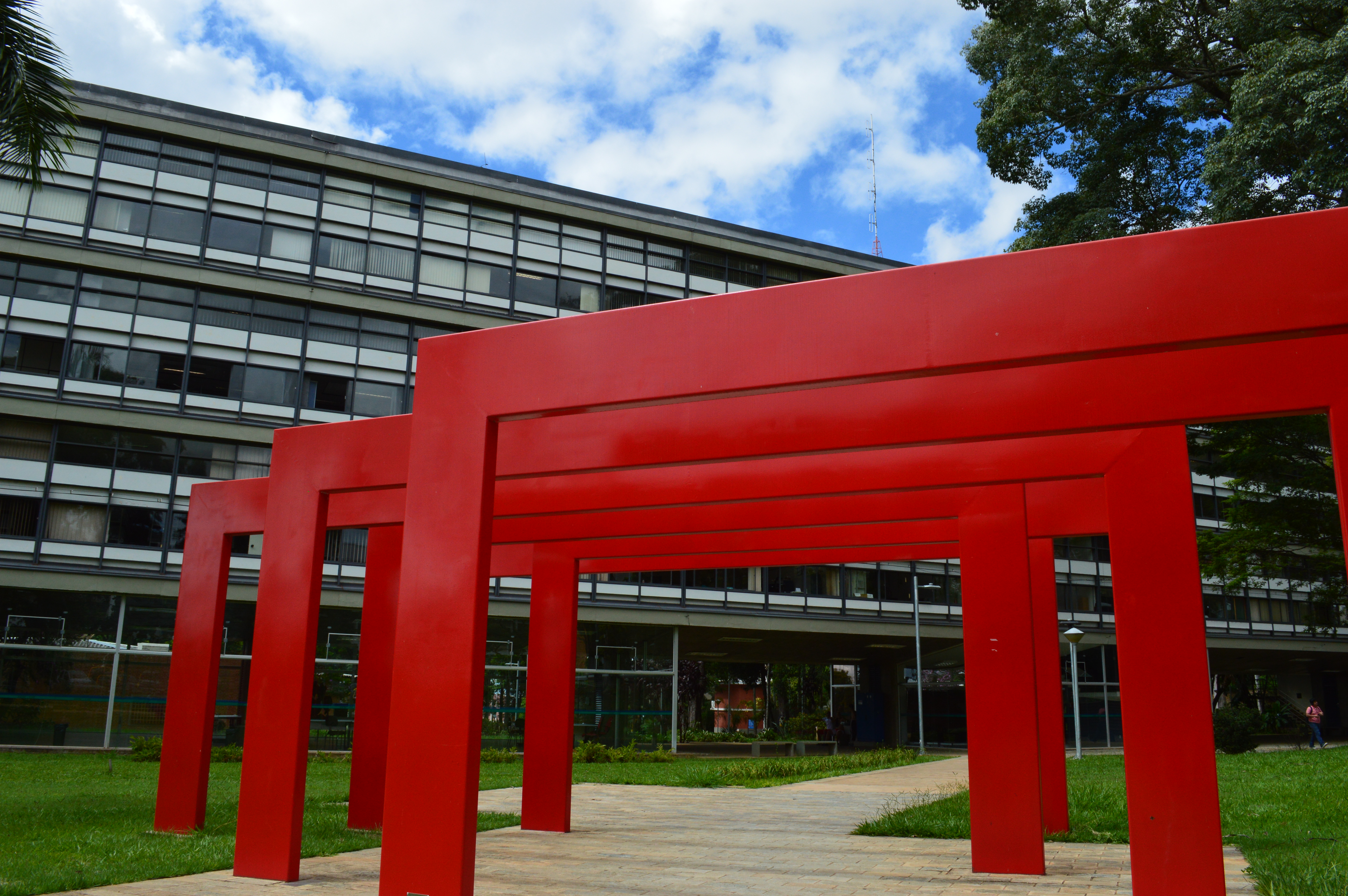 Plataforma Ludo Escola será implantada na rede de ensino de São Carlos –  Portal USP São Carlos