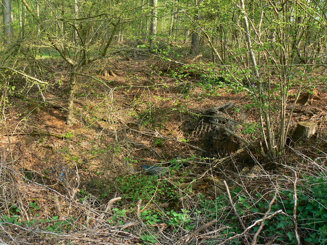 File:Possible bomb crater, Hen's Wood near Marlborough - geograph.org.uk - 407872.jpg