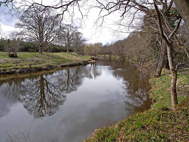 River Coquet - geograph.org.uk - 1802057