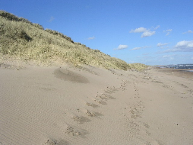 File:Sand dunes near Murcar - geograph.org.uk - 121447.jpg