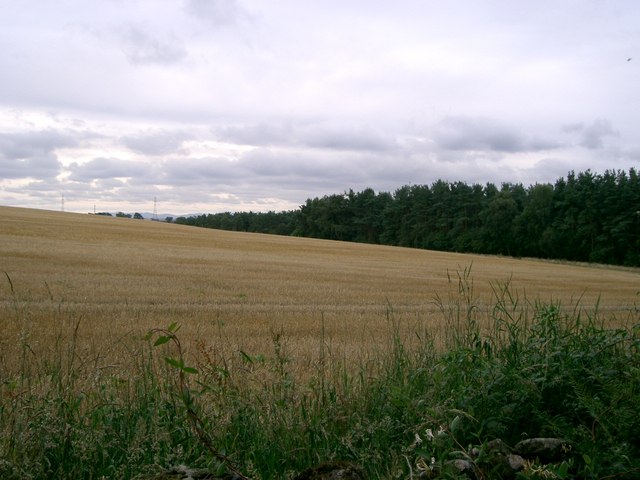 File:Stubble - geograph.org.uk - 216482.jpg