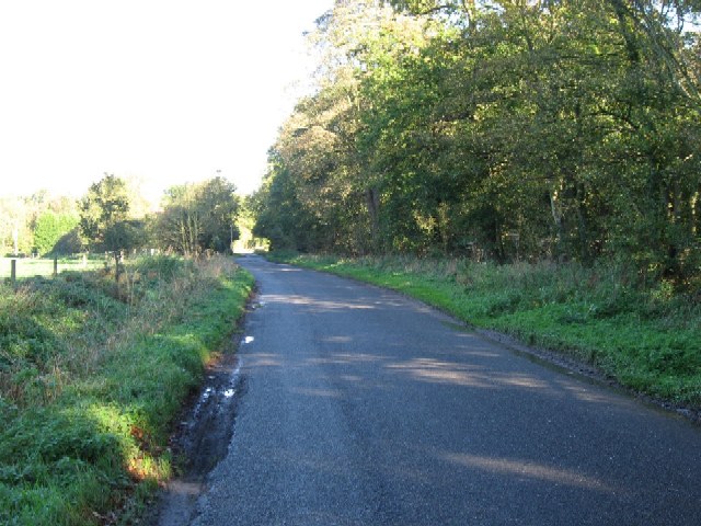 File:The Road To Woodrising - geograph.org.uk - 278318.jpg