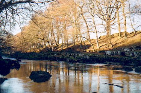 File:The Tees near Rokeby - geograph.org.uk - 134127.jpg