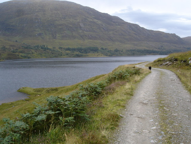 File:Track along South shore of Loch Affric - geograph.org.uk - 57761.jpg