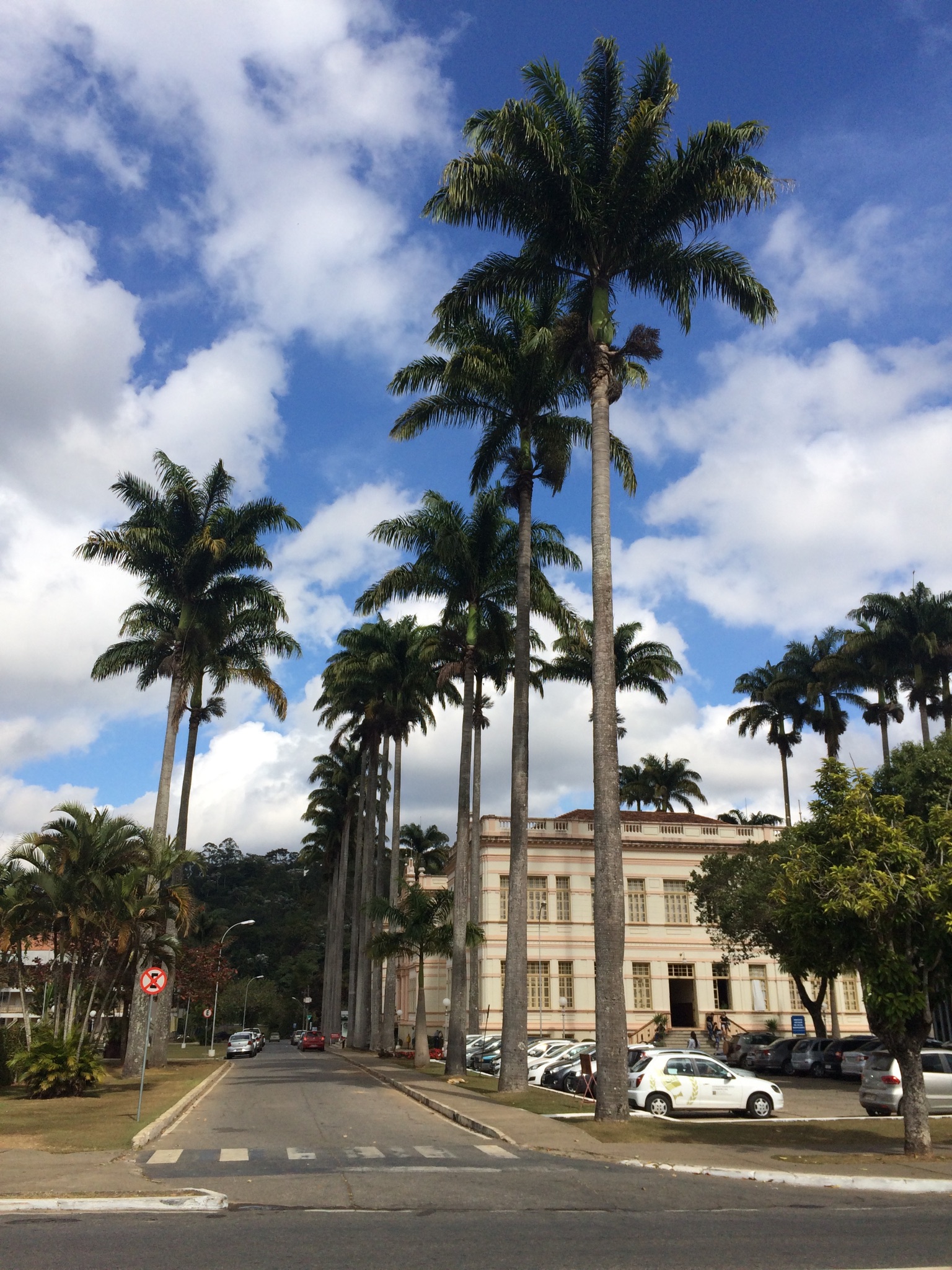 Universidade Federal de Viçosa - Notícias