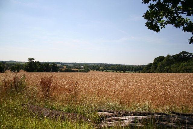 File:View from Thornbury Hill - geograph.org.uk - 208296.jpg