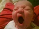 File:Yawning newborn baby.jpg