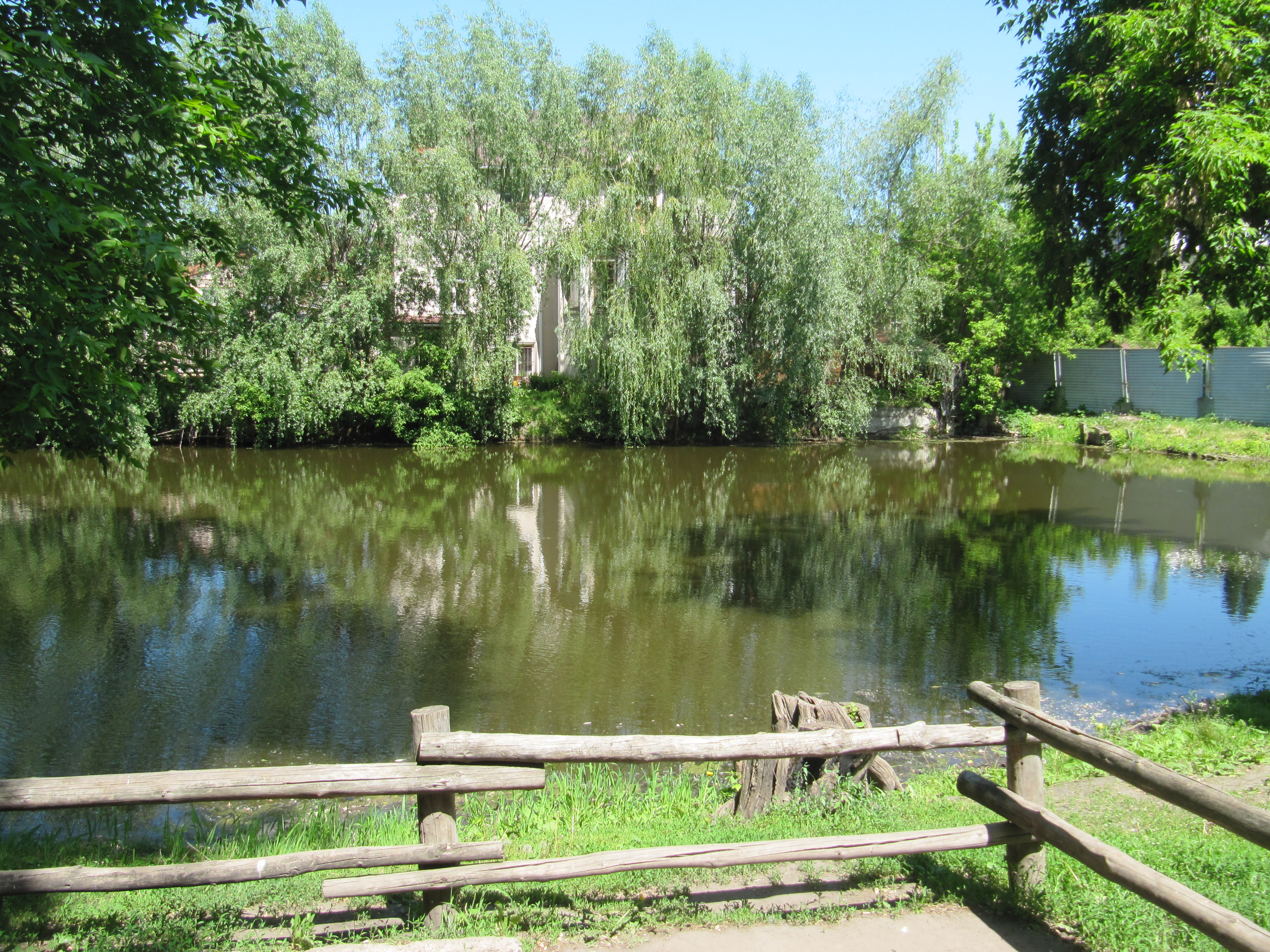 городской парк саратов