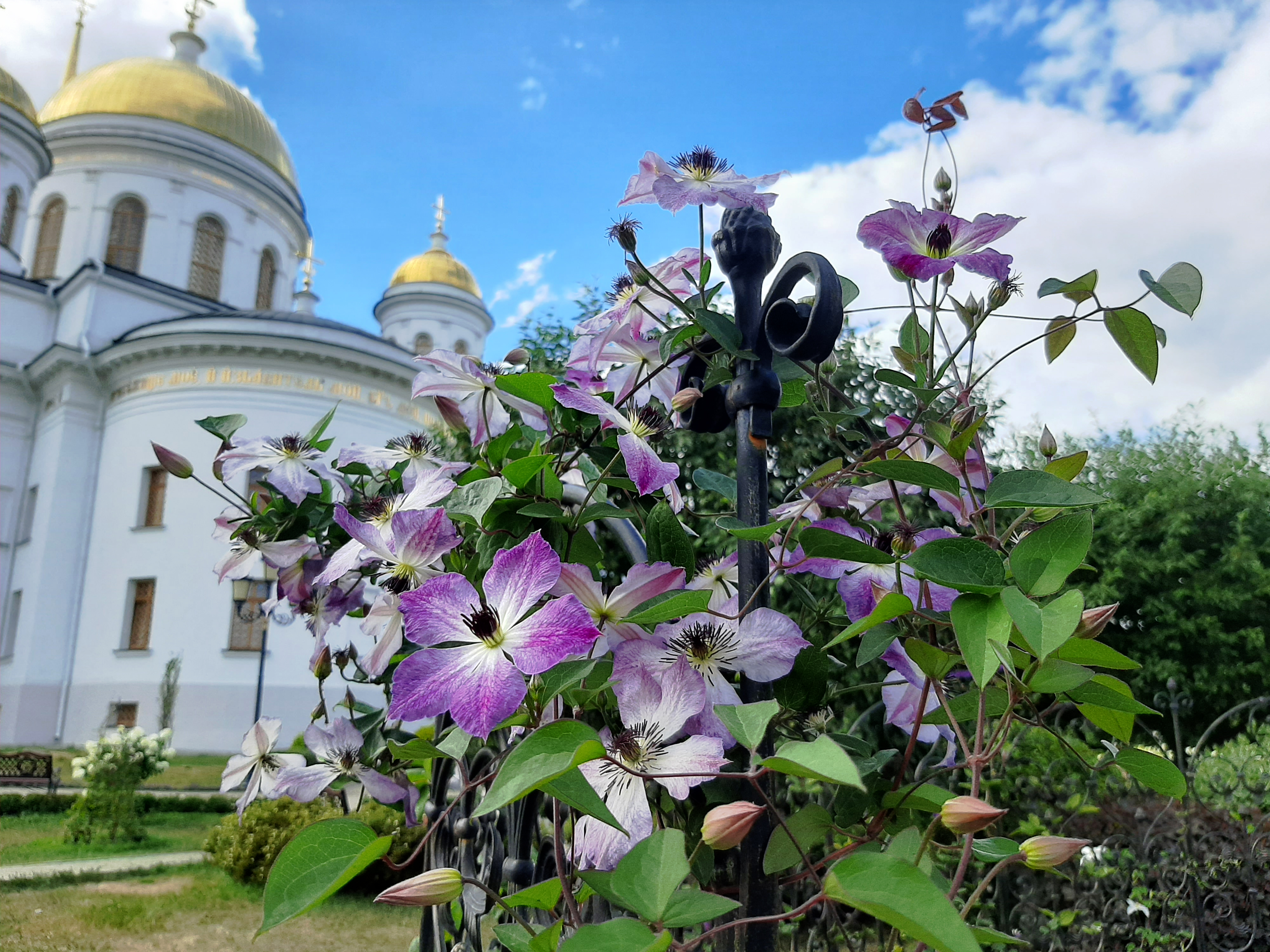 Пикник 14 апреля екатеринбург