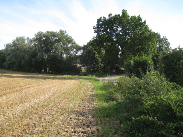 File:Abgeerntetes Feld bei Steinbeck - geo.hlipp.de - 15790.jpg