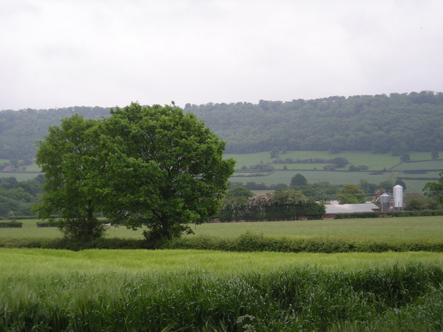 File:Across the field to The Gippols - geograph.org.uk - 821192.jpg