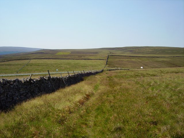 File:Burtree Fell - geograph.org.uk - 208049.jpg