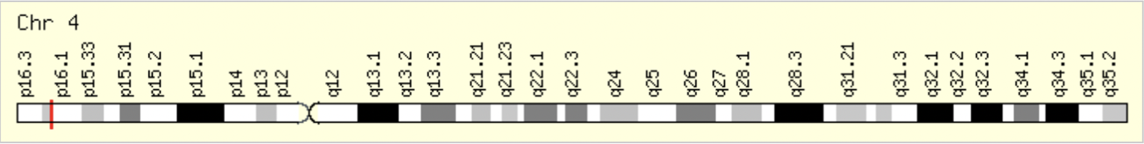 50 chromosome