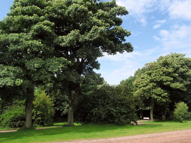 Castle - geograph.org.uk - 1037096.jpg English: Car park for Kellie Castle Mature trees separate the car park from the drive up the castle. Date 16 August