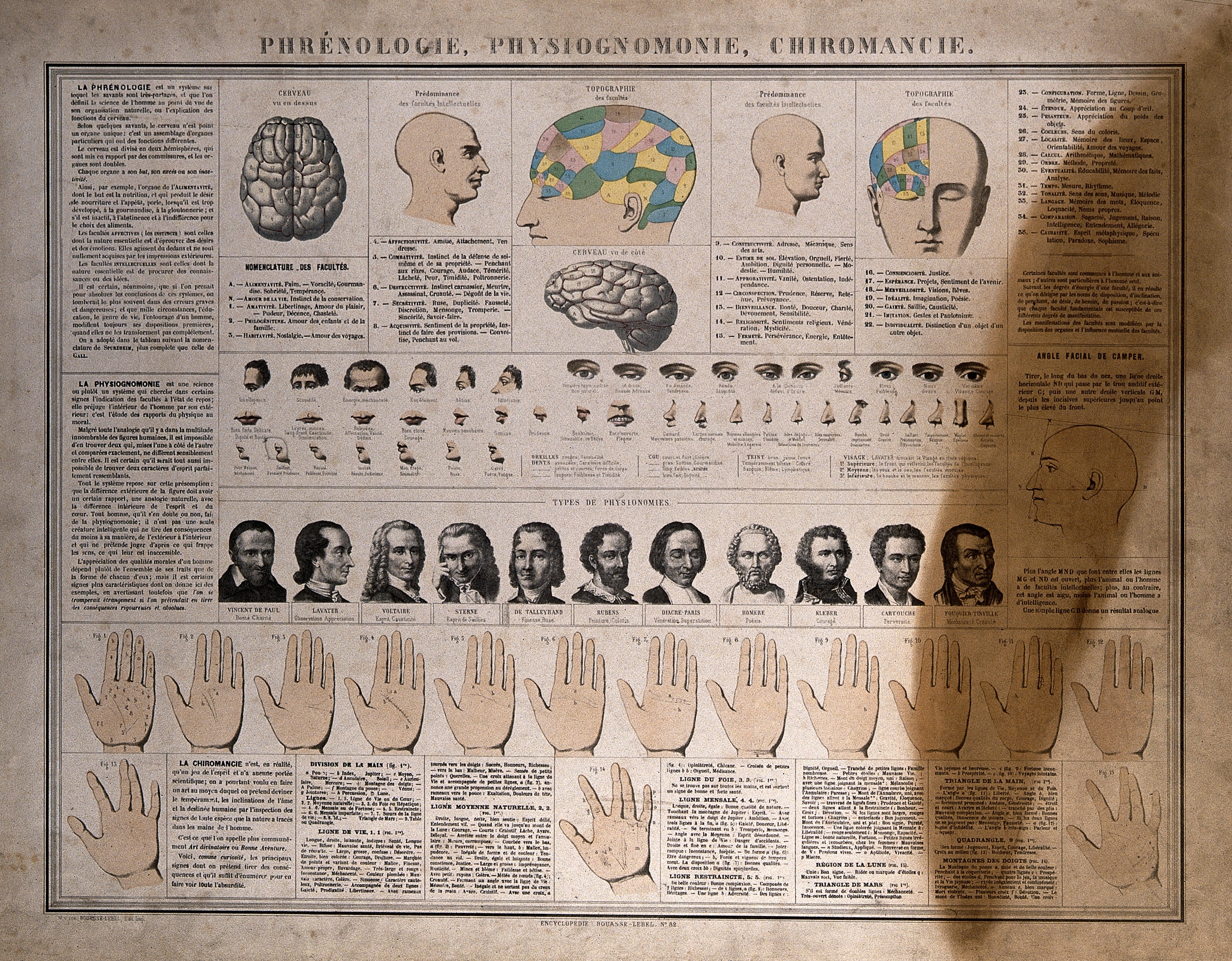 Physiognomy Chart