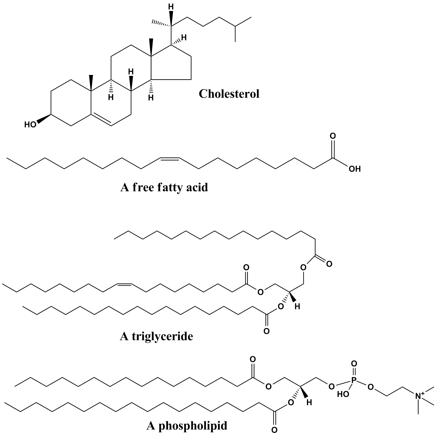 Chemical structures of the lipids used in preparing lipid