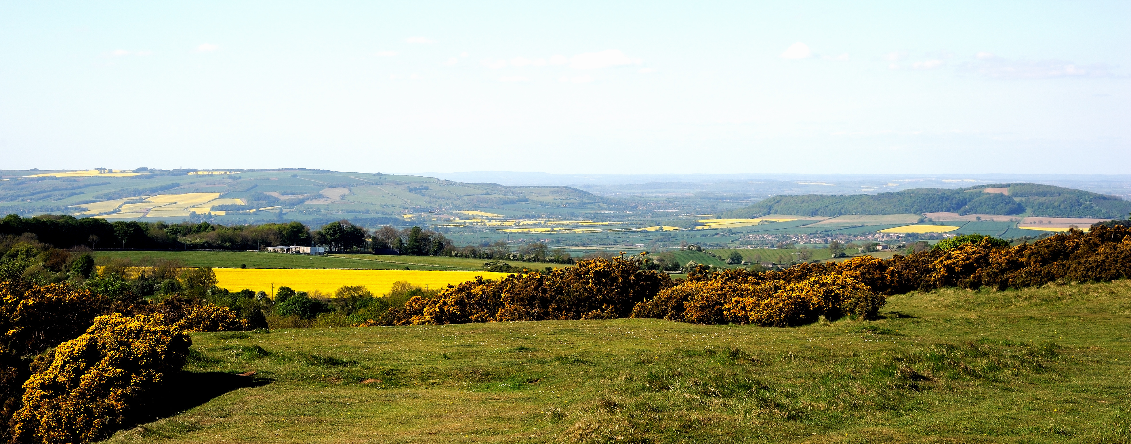 Cleeve Common