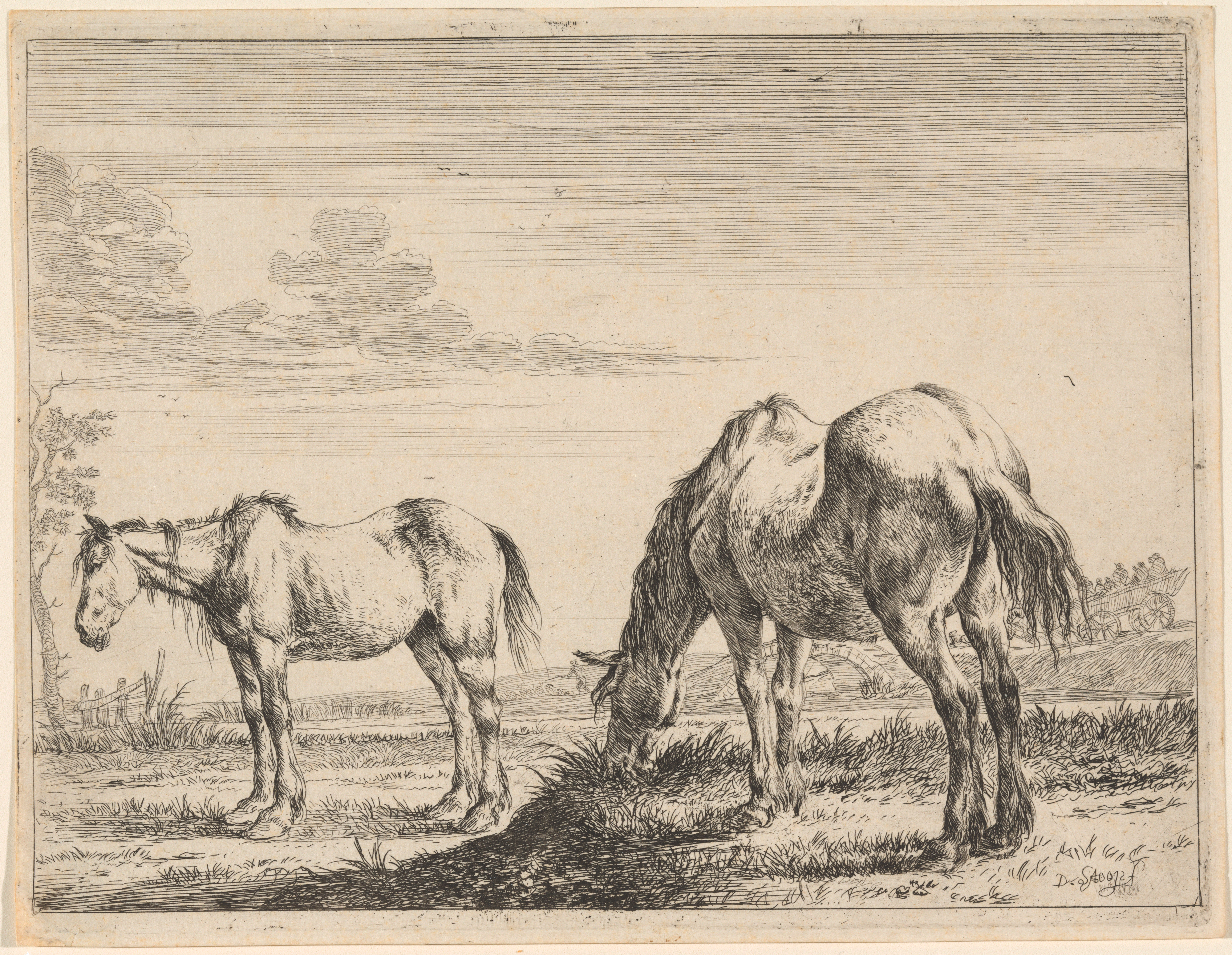 Произведение старая лошадь. Толстой Старая лошадь. Лошади на пастбище рисунок. Гравюра "на пастбище", серебро. Гравюры лошадей старинные.