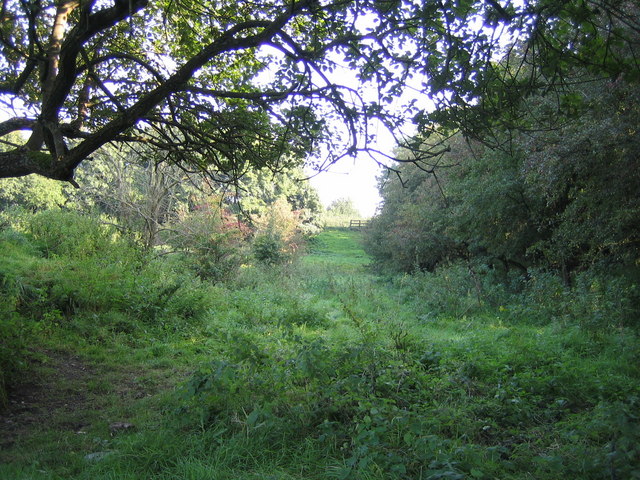 File:Dismantled railway to Quainton Road 5 - geograph.org.uk - 1030786.jpg