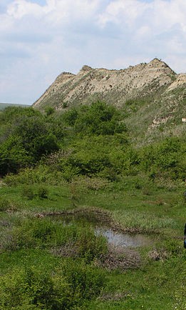 Fânaţele Clujului Natural Reserve.jpg