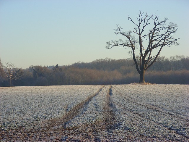 File:Farmland, Swallowfield - geograph.org.uk - 634013.jpg