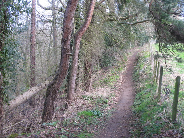 File:Footpath alongside woodland south of Acomb - geograph.org.uk - 1269404.jpg