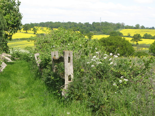 File:Footpath north of Waggon Road - geograph.org.uk - 1403288.jpg