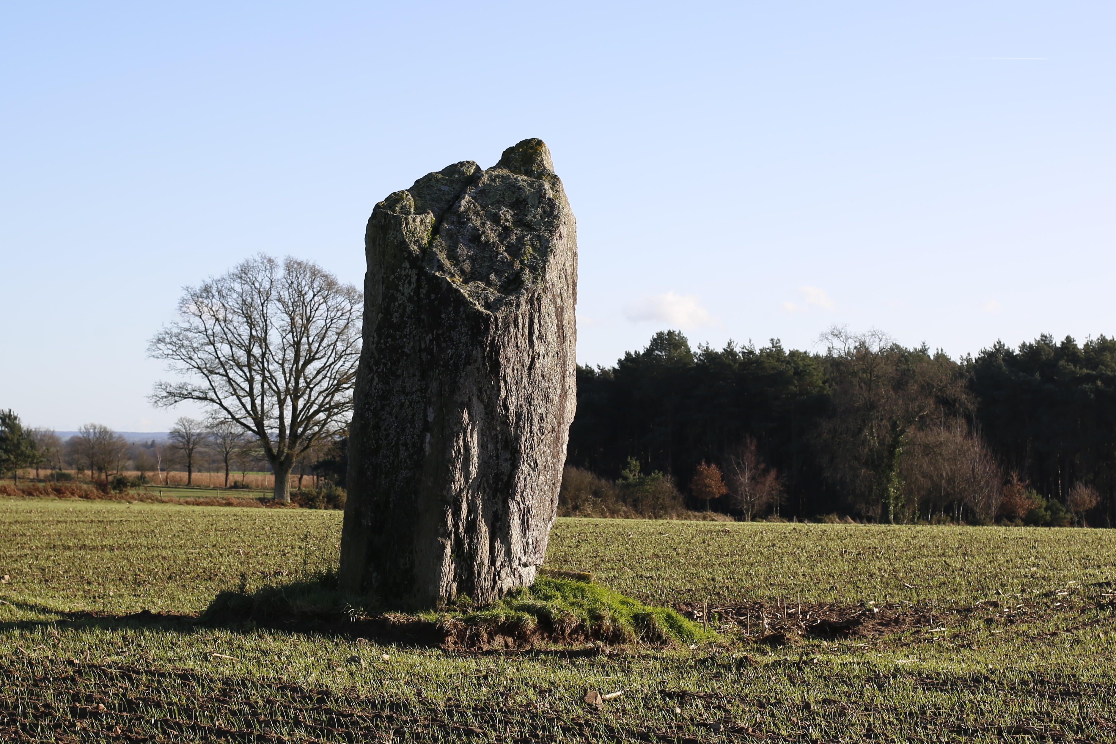 Menhir la Pierre des Fées  France Bretagne Ille-et-Vilaine Janzé 35150