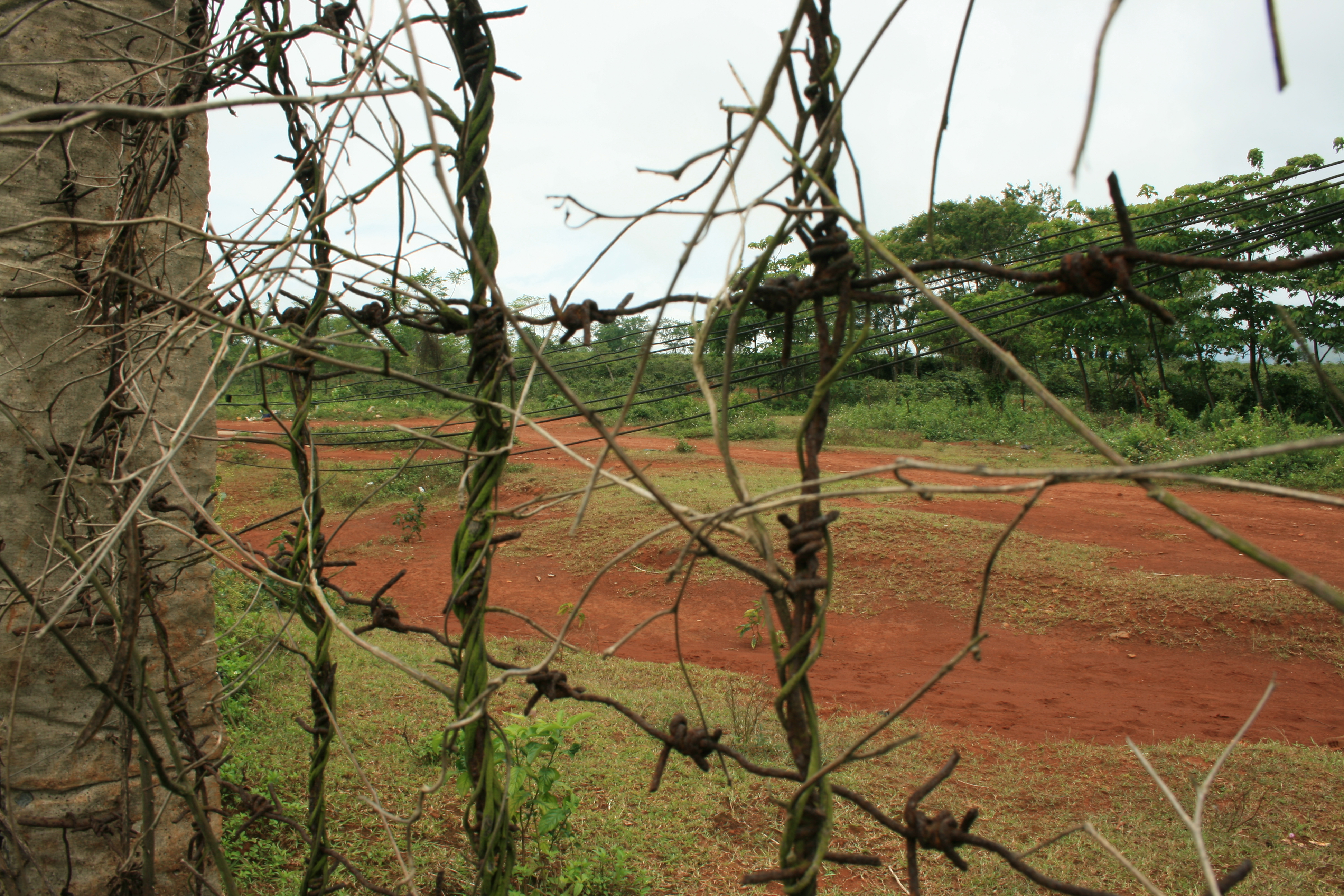 File:Landing strip.jpg - Wikimedia Commons