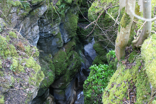 Looking down Hell Gill from the bridge - geograph.org.uk - 1236272